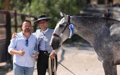 Jinete y presentador de caballos españoles