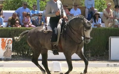 Doma Vaquera I: Del campo al campeonato de Doma Vaquera